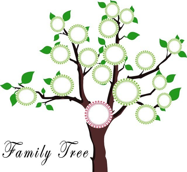 legacy 9 family tree reviews